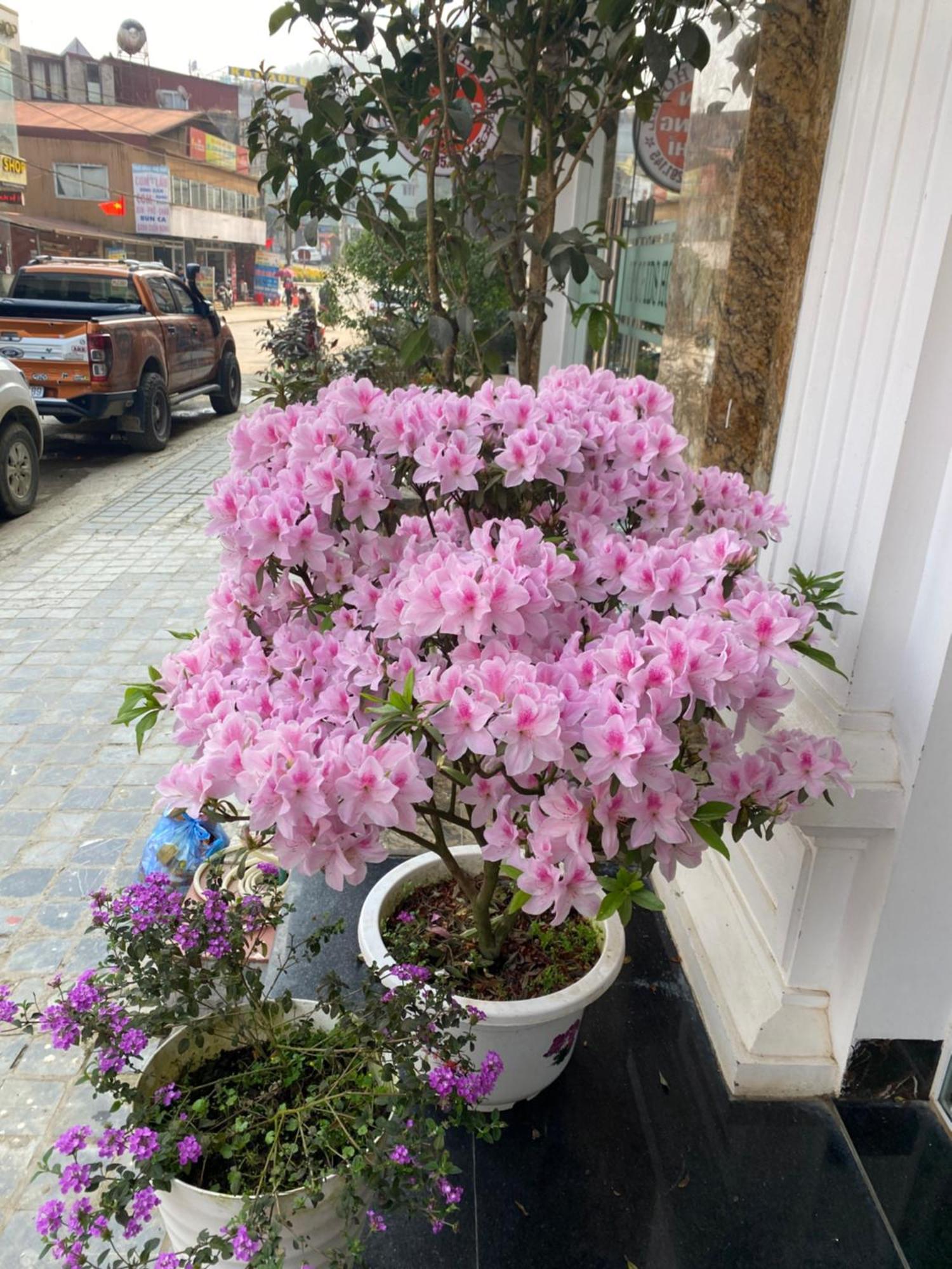 Wind House Hotel سابا المظهر الخارجي الصورة